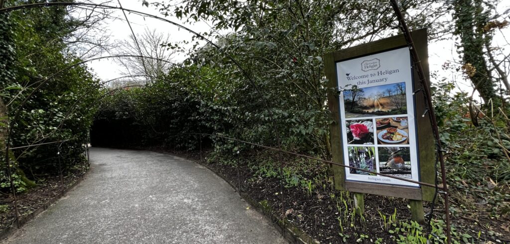 Tracing Roots in Bloom: A Journey Through History at The Lost Gardens of Heligan